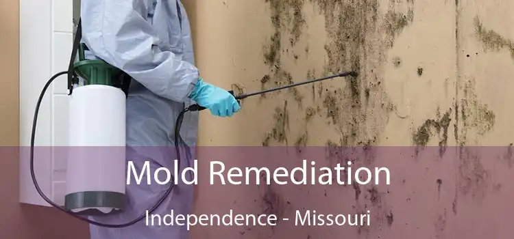 Mold Remediation Independence - Missouri