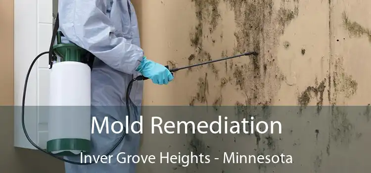 Mold Remediation Inver Grove Heights - Minnesota