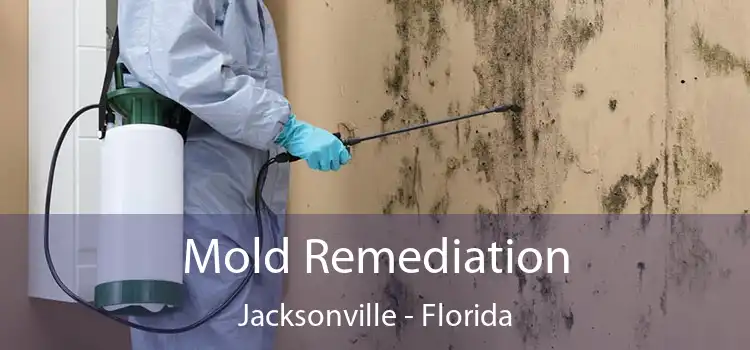 Mold Remediation Jacksonville - Florida