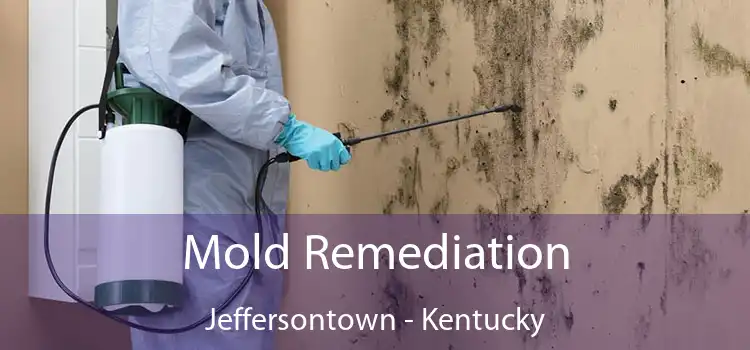 Mold Remediation Jeffersontown - Kentucky