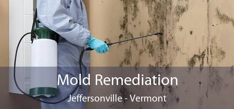 Mold Remediation Jeffersonville - Vermont