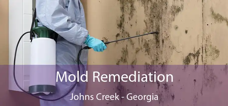 Mold Remediation Johns Creek - Georgia