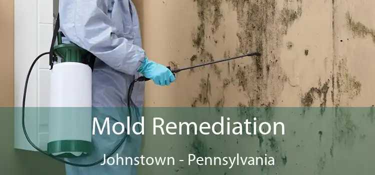 Mold Remediation Johnstown - Pennsylvania