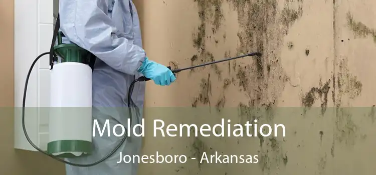 Mold Remediation Jonesboro - Arkansas