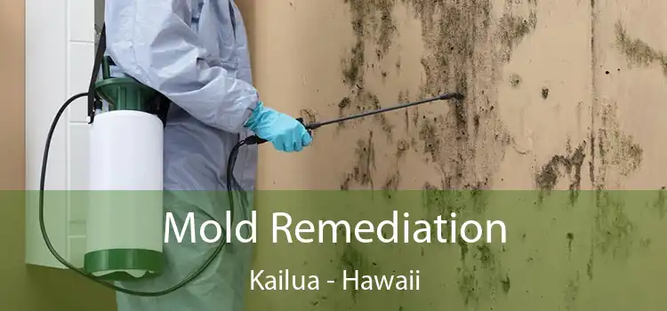 Mold Remediation Kailua - Hawaii