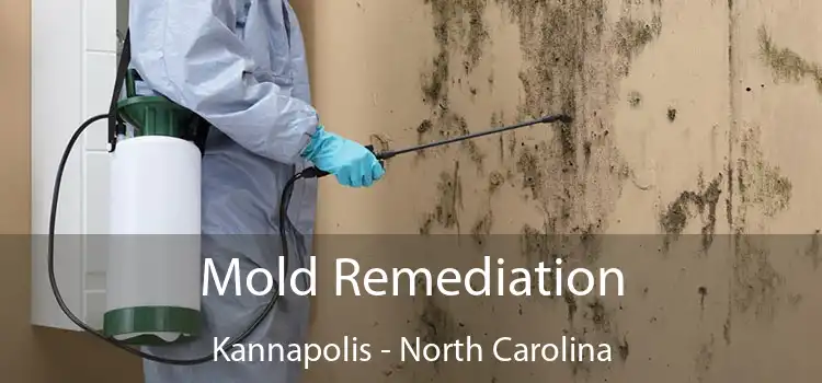 Mold Remediation Kannapolis - North Carolina