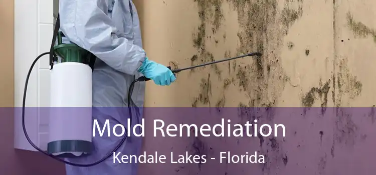 Mold Remediation Kendale Lakes - Florida