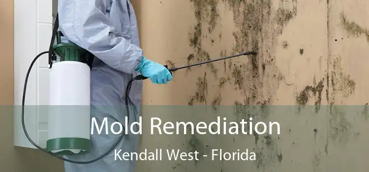 Mold Remediation Kendall West - Florida