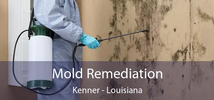 Mold Remediation Kenner - Louisiana