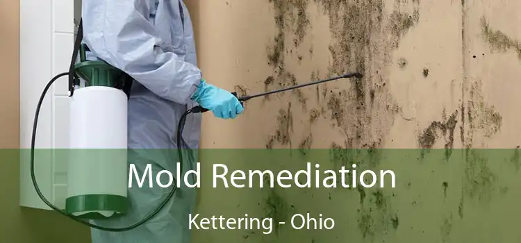 Mold Remediation Kettering - Ohio