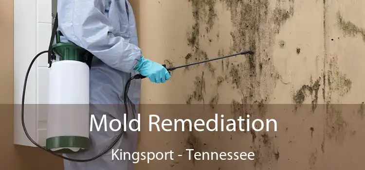 Mold Remediation Kingsport - Tennessee