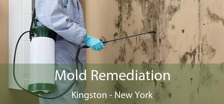 Mold Remediation Kingston - New York