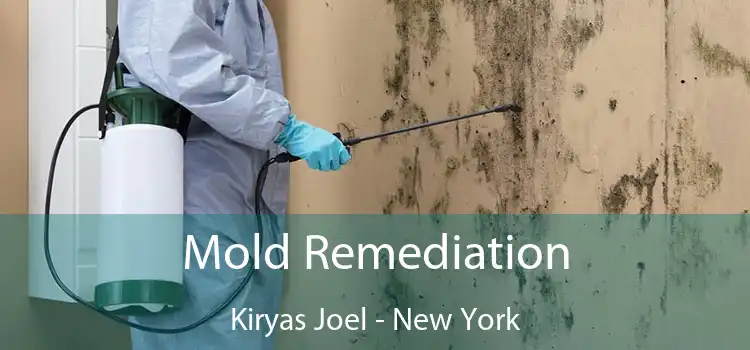 Mold Remediation Kiryas Joel - New York