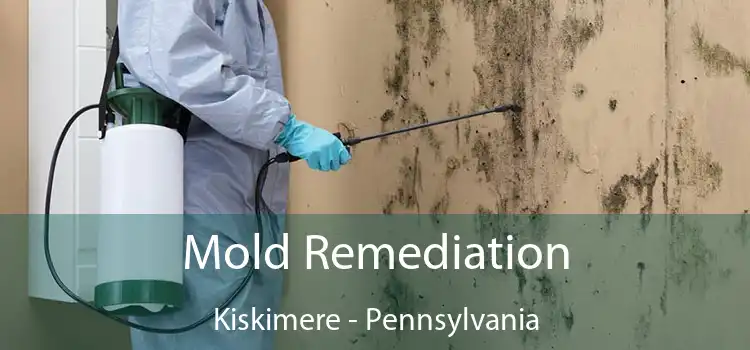 Mold Remediation Kiskimere - Pennsylvania