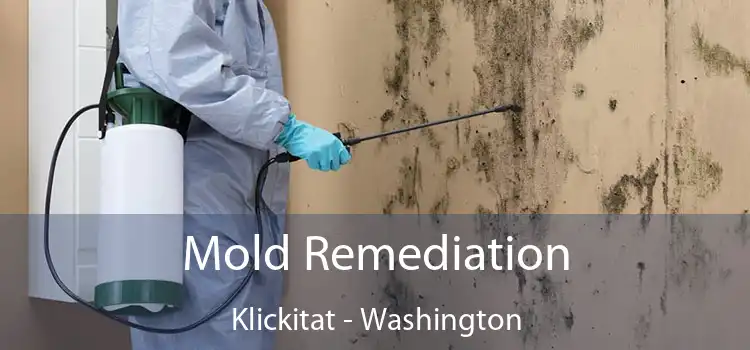 Mold Remediation Klickitat - Washington