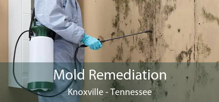 Mold Remediation Knoxville - Tennessee