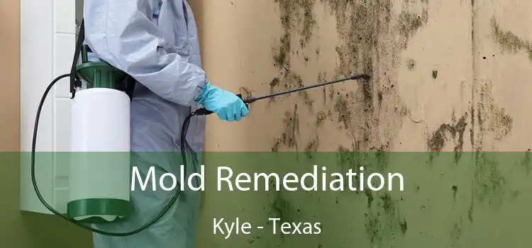 Mold Remediation Kyle - Texas