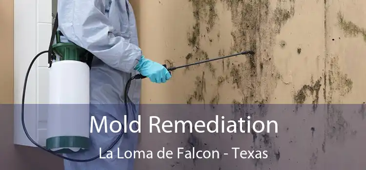 Mold Remediation La Loma de Falcon - Texas