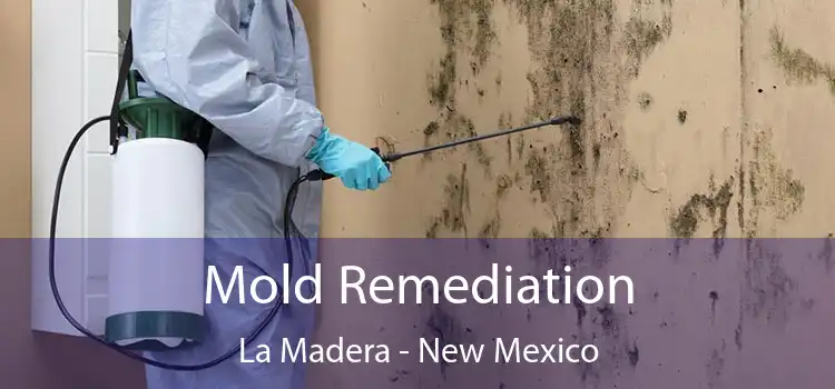 Mold Remediation La Madera - New Mexico