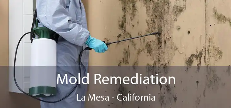 Mold Remediation La Mesa - California