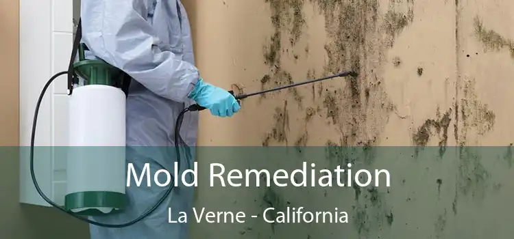 Mold Remediation La Verne - California