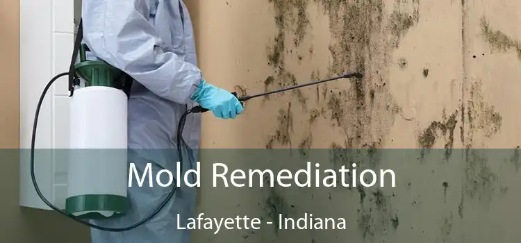 Mold Remediation Lafayette - Indiana