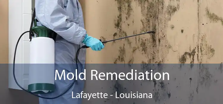 Mold Remediation Lafayette - Louisiana