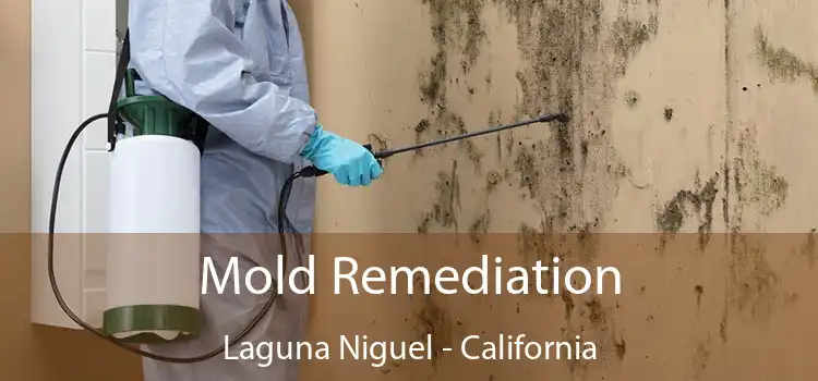 Mold Remediation Laguna Niguel - California