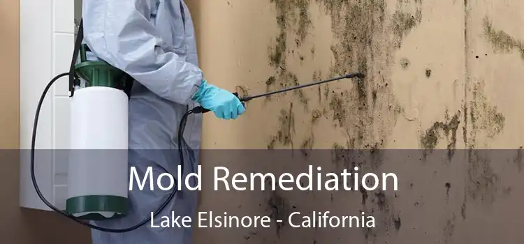 Mold Remediation Lake Elsinore - California