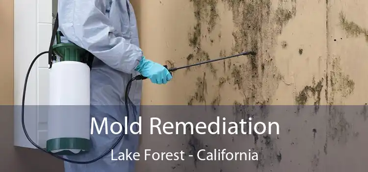 Mold Remediation Lake Forest - California