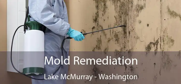 Mold Remediation Lake McMurray - Washington