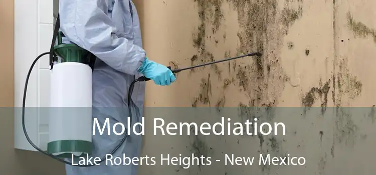 Mold Remediation Lake Roberts Heights - New Mexico