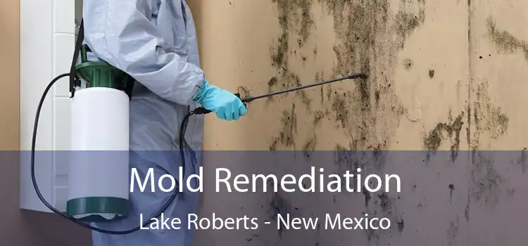 Mold Remediation Lake Roberts - New Mexico