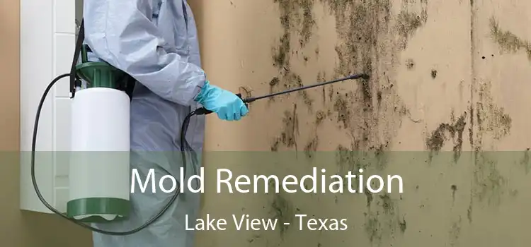 Mold Remediation Lake View - Texas