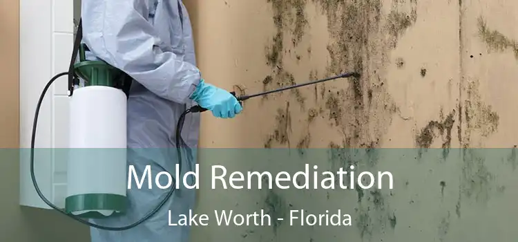 Mold Remediation Lake Worth - Florida