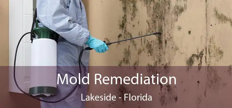 Mold Remediation Lakeside - Florida