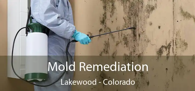 Mold Remediation Lakewood - Colorado