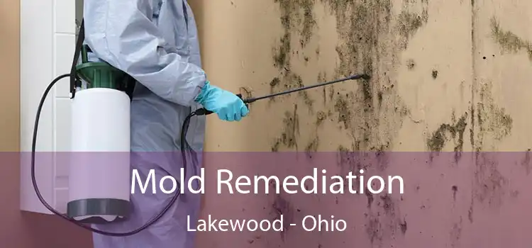 Mold Remediation Lakewood - Ohio