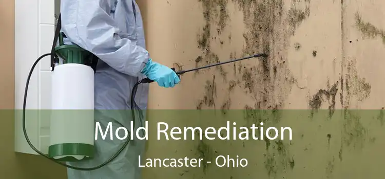 Mold Remediation Lancaster - Ohio