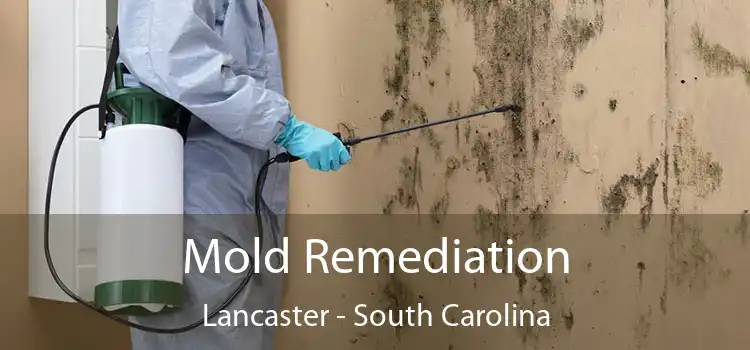 Mold Remediation Lancaster - South Carolina