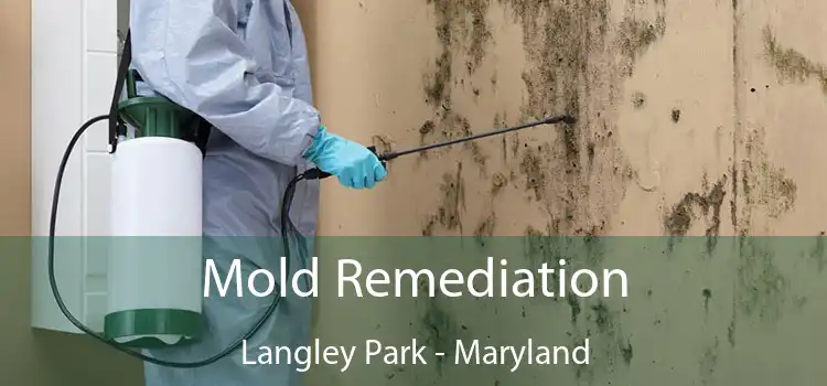 Mold Remediation Langley Park - Maryland