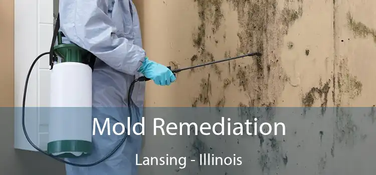 Mold Remediation Lansing - Illinois