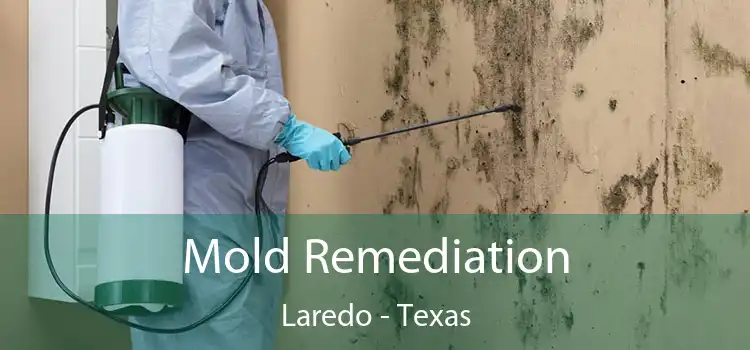 Mold Remediation Laredo - Texas