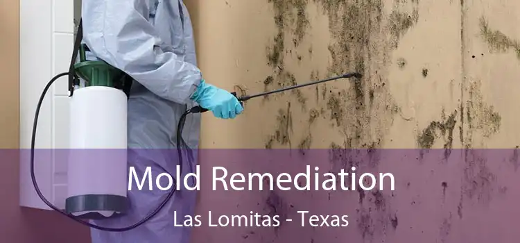 Mold Remediation Las Lomitas - Texas