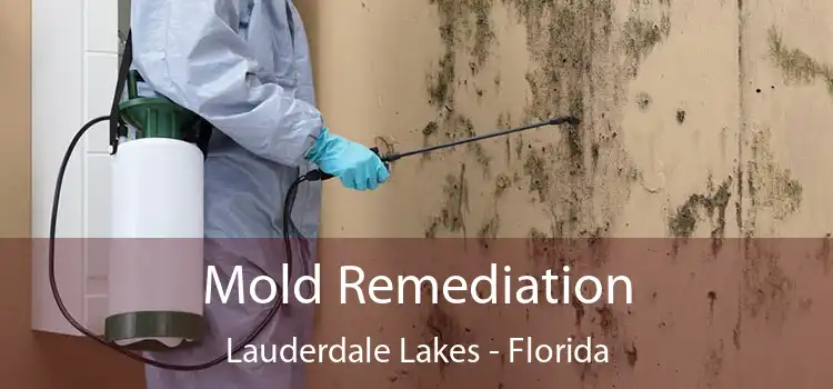 Mold Remediation Lauderdale Lakes - Florida