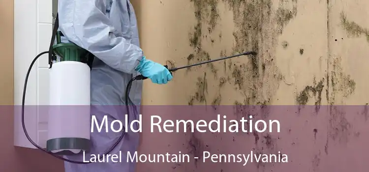 Mold Remediation Laurel Mountain - Pennsylvania