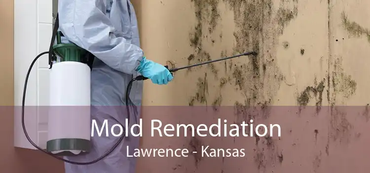 Mold Remediation Lawrence - Kansas