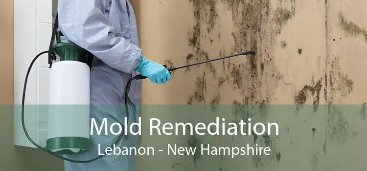 Mold Remediation Lebanon - New Hampshire
