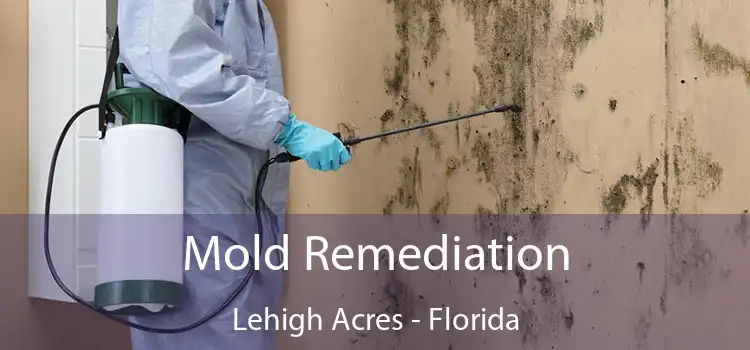 Mold Remediation Lehigh Acres - Florida