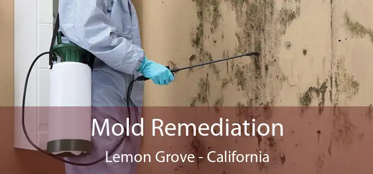 Mold Remediation Lemon Grove - California